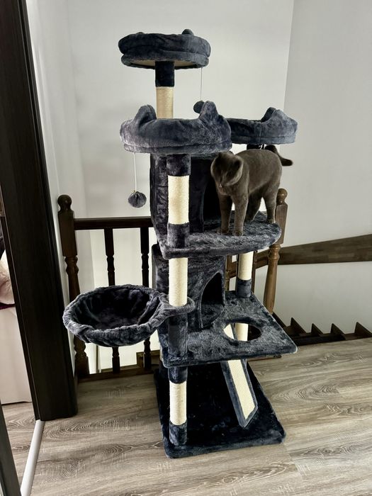 Andamblu de joaca pentru pisici nou