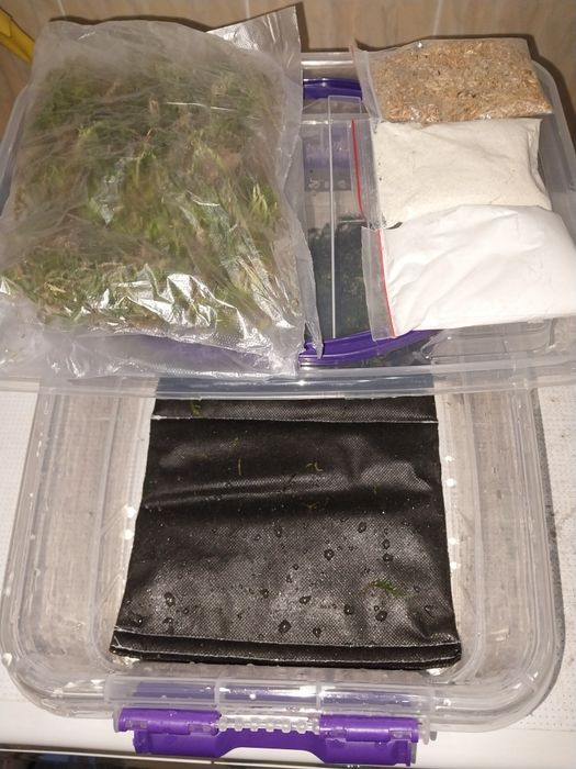 Контейнер для улиток ахатин