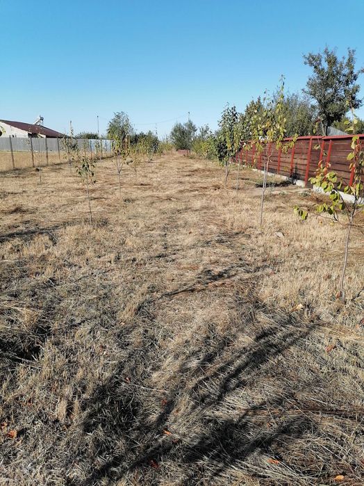Casa nou comuna buzoesti teren 1765 mp,livada pomi fructiferi +anexa