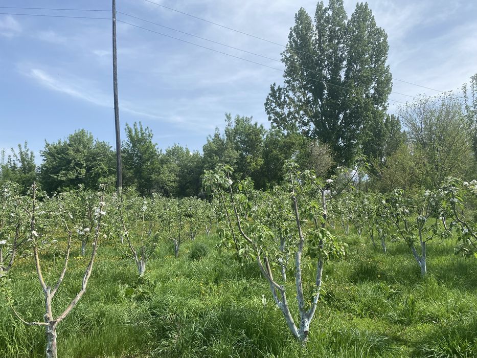 Продается дом в Тургене
