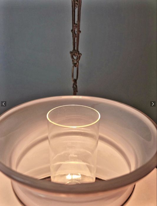 Очарователен полилей  Луи 16