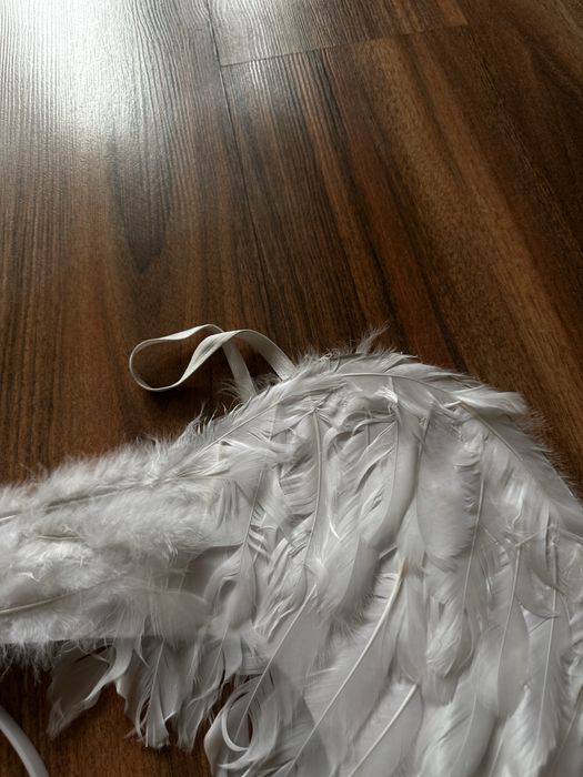 Крылья ангела и нимб в алматы