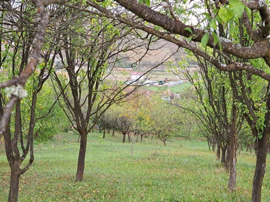 Teren intravilan de vânzare în Com Sic