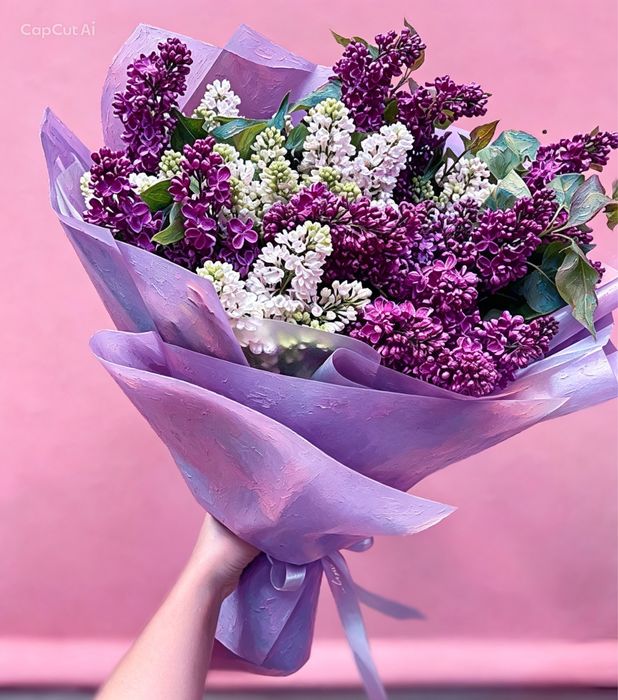 Свежая сирень, красивые