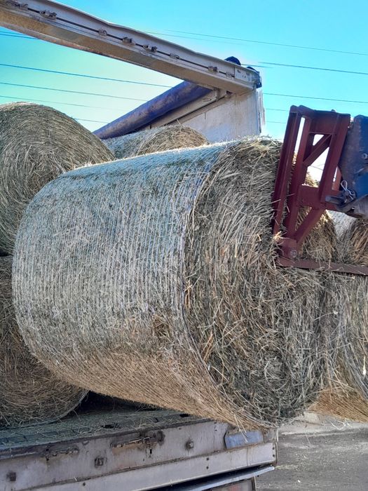 Предлагаме сено големи бали двоен размер