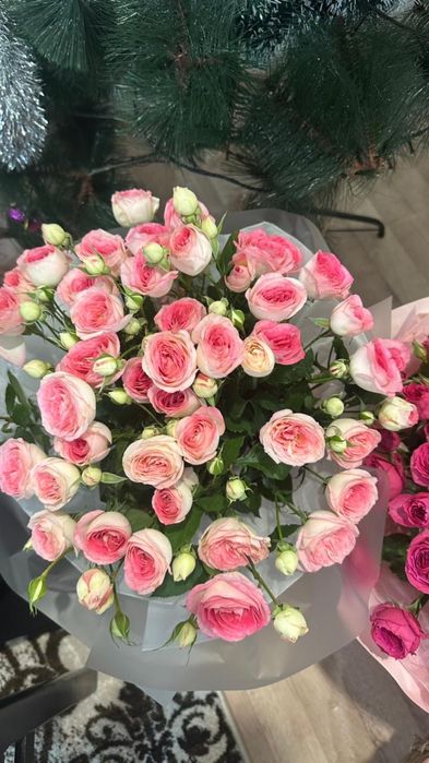 Цветы продам срочно