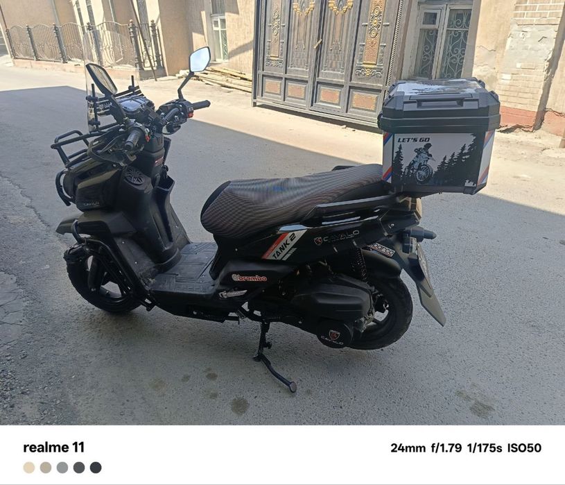 CAVALO (Scuter Tank) 2025