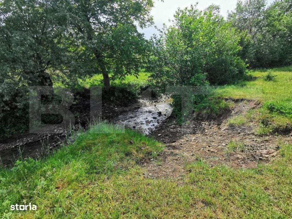 Teren, aproximativ 1 ha, in apropiere de Bistrita