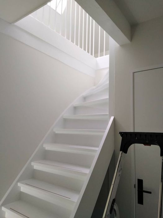 Zugrav rapid si serios