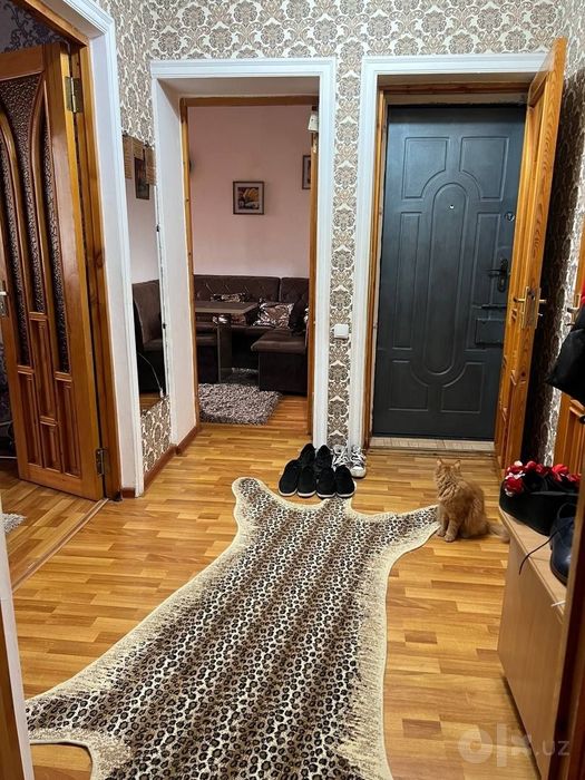 АРЕНДА Квартира Алгоритм 31кв