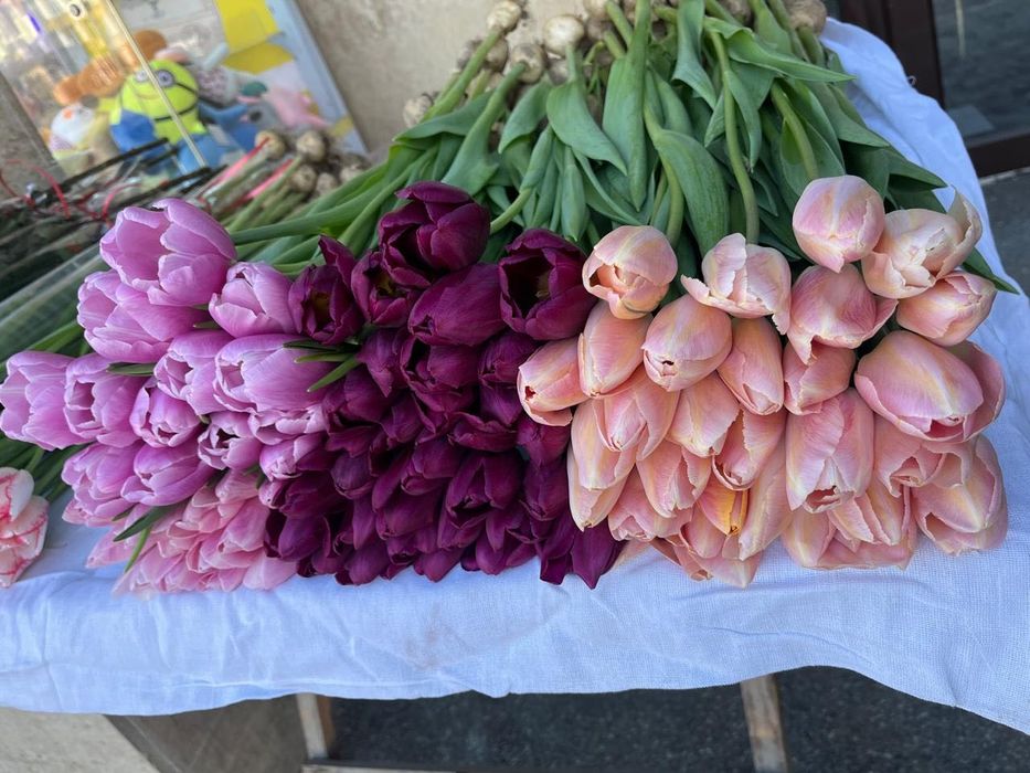 Тюльпаны, цветы, розы