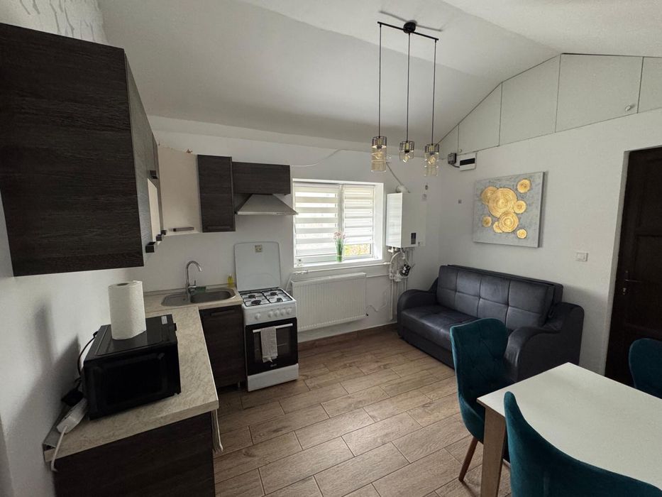 Cazare Regim Hotelier