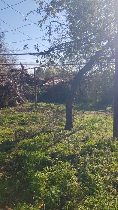 Продава се Къща в с. Катрище, Област Кюстендил - 80 кв.м за 255 €/кв.м - Снимка #3