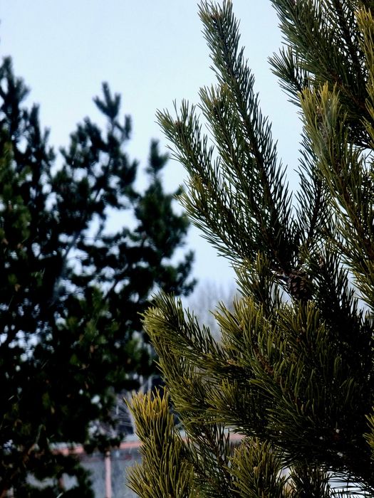 Продаётся Samsung Galaxy S21 Ultra