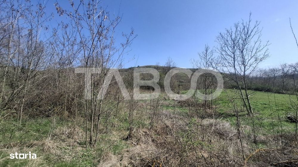 Teren de vanzare 1450 mp intravilan Slimnic Sibiu