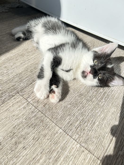 Эксклюзивное предложение