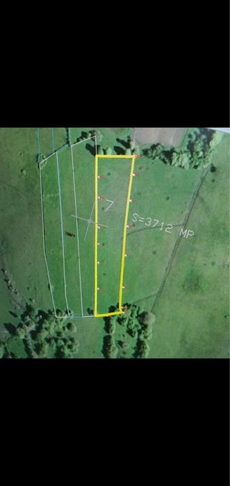 Vand teren in comuna Salciua de Sus, jud Alba