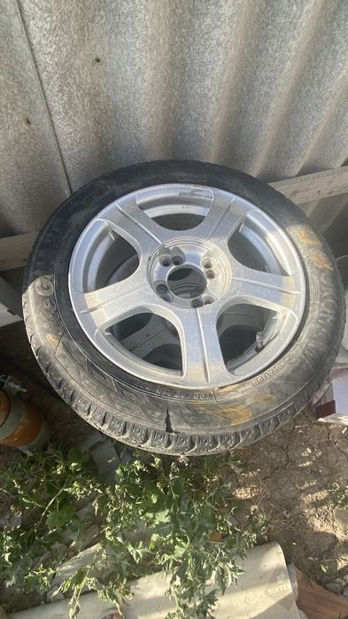 Шины кыскы донгелек