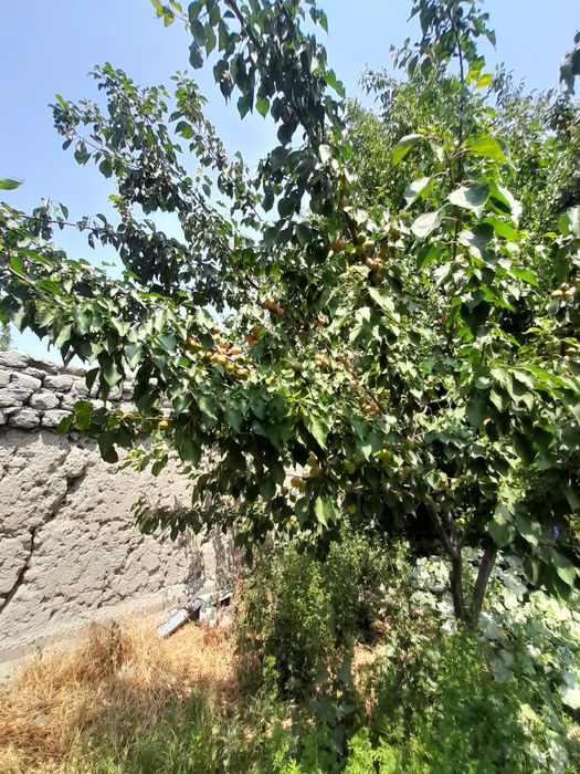 Уй сотилади.16 сотых.телеграмдан ёзинг. Четдаман..