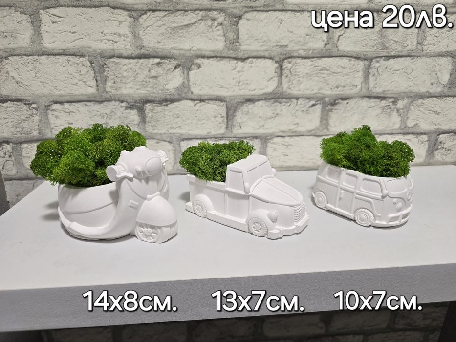 Различни видове кашпи със скандинавски мъх