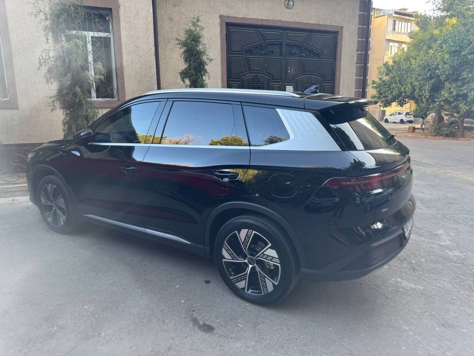 Byd song pro dmi chempion
