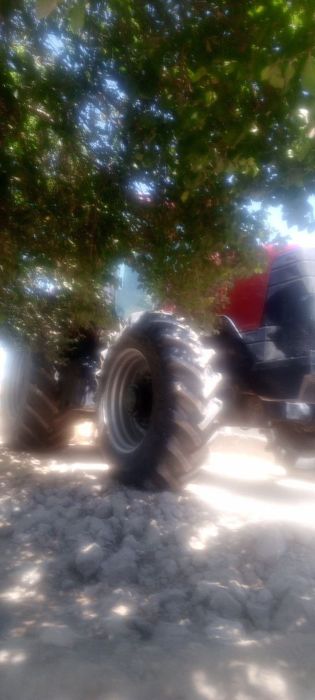 Casse 240 sotiladi 220.milyon