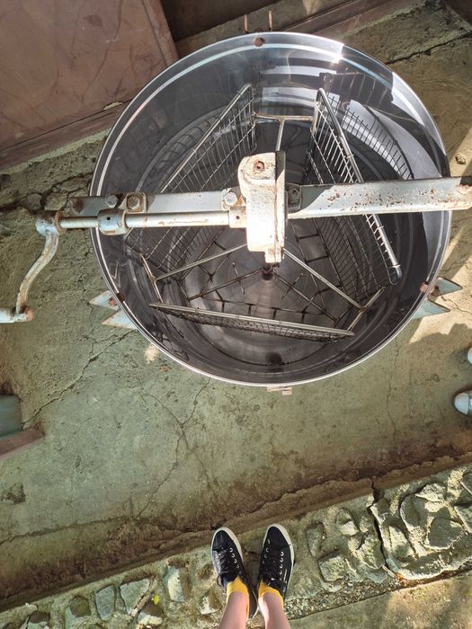 Centrifuga apicola