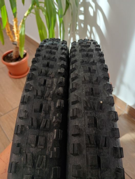 Maxxis minion dhf