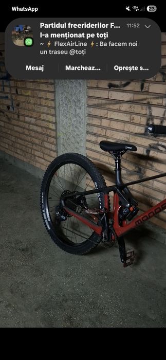 !!URGENT!! Mondraler foxy r 2022