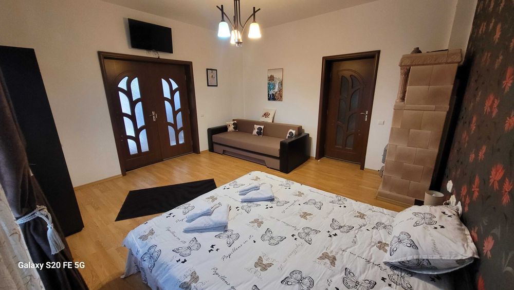 Cazare Pensiune/Vila lux Busteni