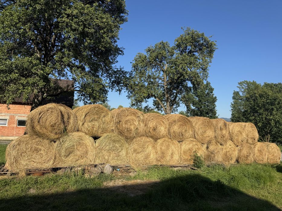 Fân de vânzare – baloți mari și mici