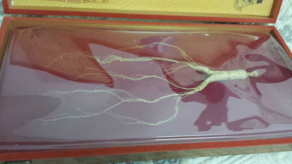 Женьшень китайский подарочный