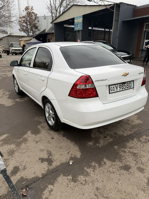 Arenda vikub neksia3