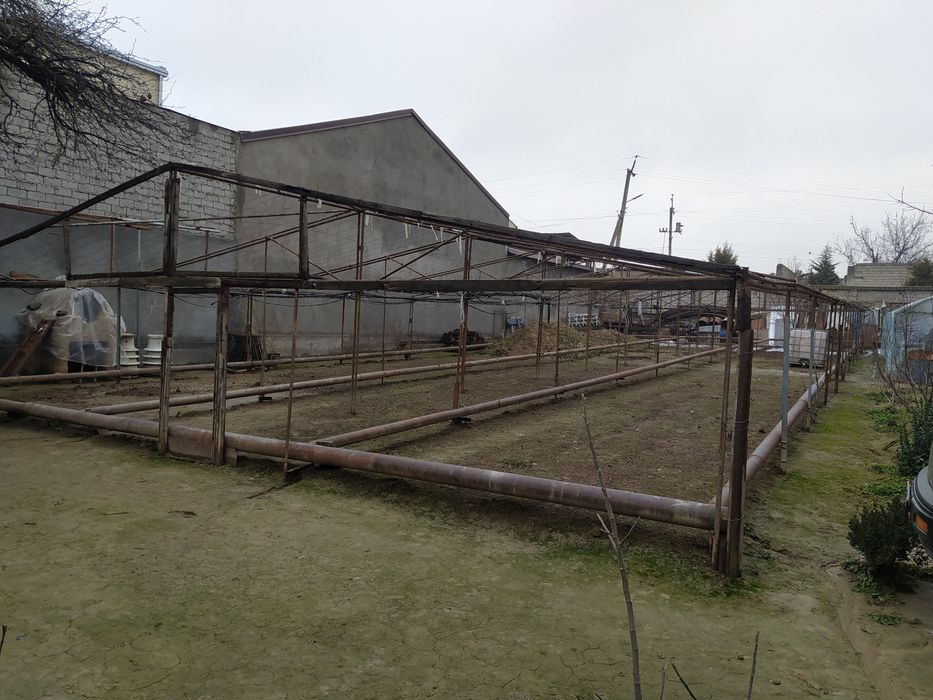 Придам теплица назарбек