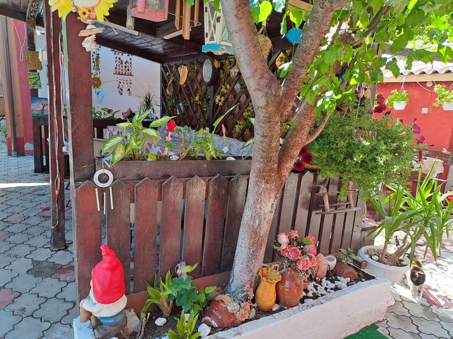 CASA CAMELIA - Cazare Mangalia - Confort si liniște la casă. CITITI CU ATENTIE OFERTA LUNII IUNIE!