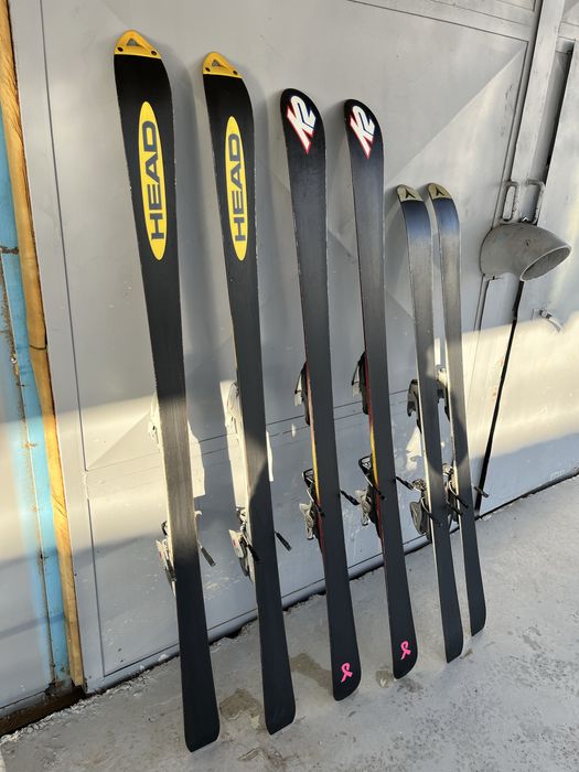 Schiuri / Schi / ski / Clapari  39 - 43 / 146 - 170 cm