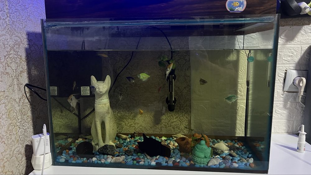 Продам аквариум 80 л