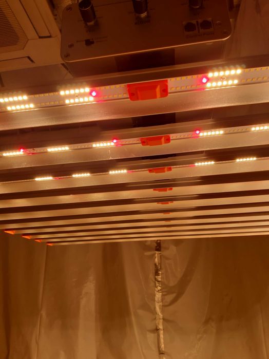 Green Sensation 1000W led grow lights