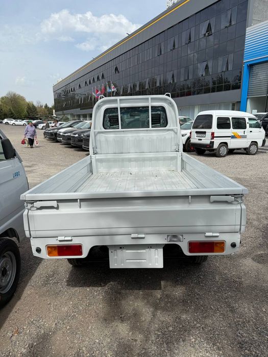 Bez prabeg Labo Damasla bor