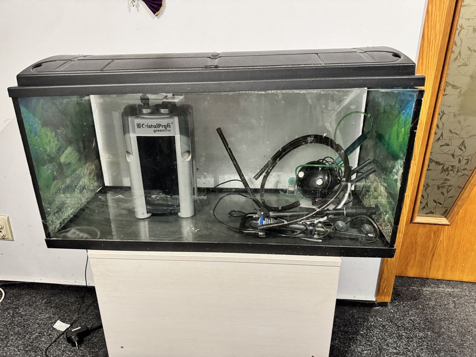 Pachet acvariu + Filtru acvariu JBL e901 greenline