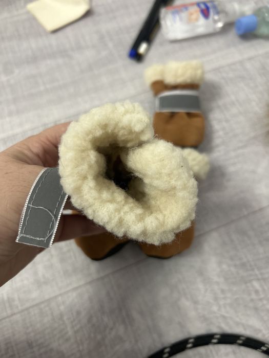 Продам сапожки для собачки