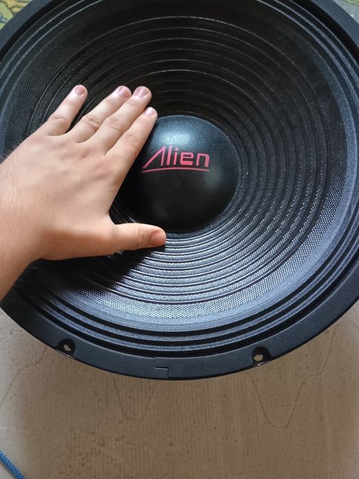 Alien 15 inch 300w rms 8 ohm