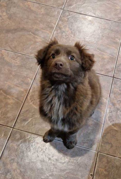 Малышка Берта с человеческими глазами