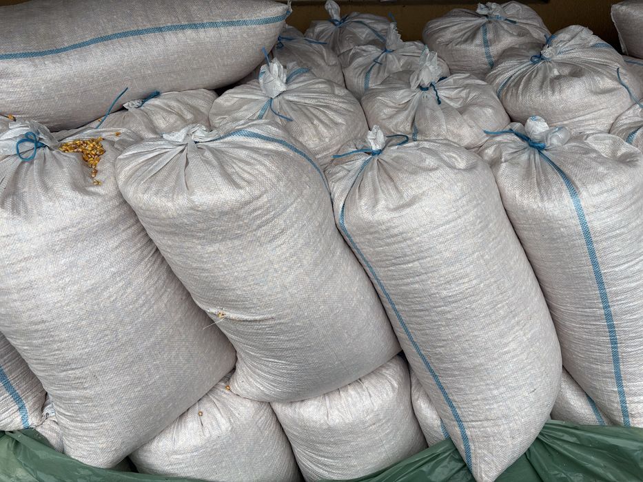 Vând porumb însăcuit, recoltă 2025