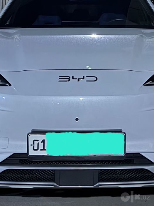 Byd champion 605 full