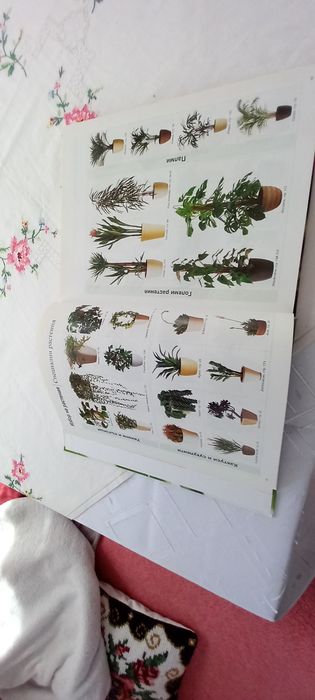 Стайни растения-книга