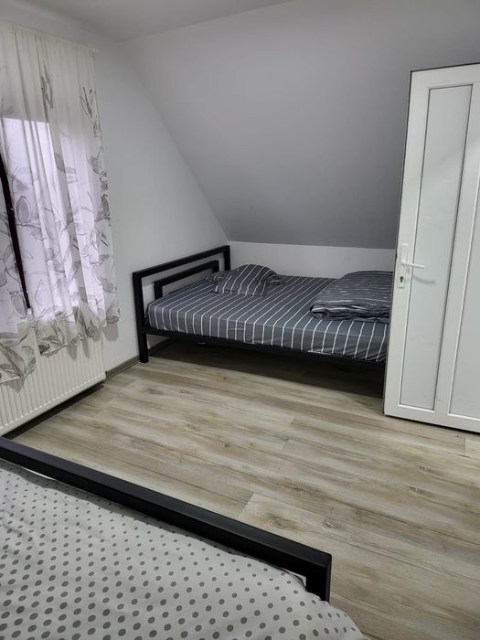 Cabana baile figa la Budurlean 1.  3 dormitoare 10 locuri