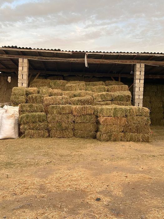 Beda pres sotiladi ikkinchi o'roq