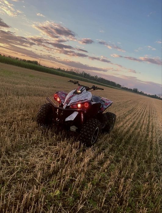 Can am renegade 1000R