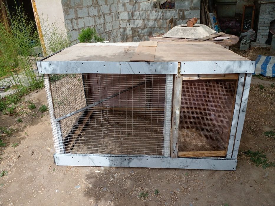 Клетка сатылады бахасы 500000сум